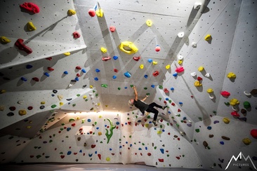 Mountain Gecko Boulderhalle (oua_21646432_image)