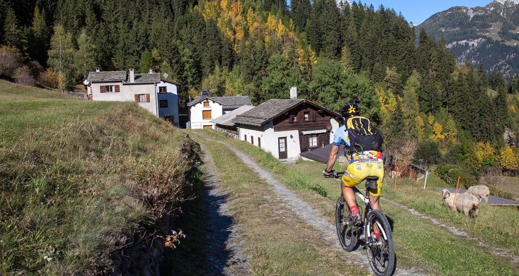 431 Granpanoramica Poschiavina (oua_21742294_image)