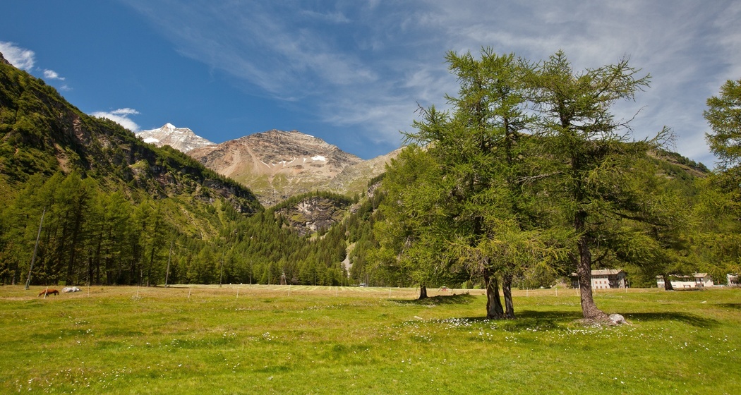 33.09 Cavaglia - Le Prese, Via Albula / Bernina (oua_21742792_image)