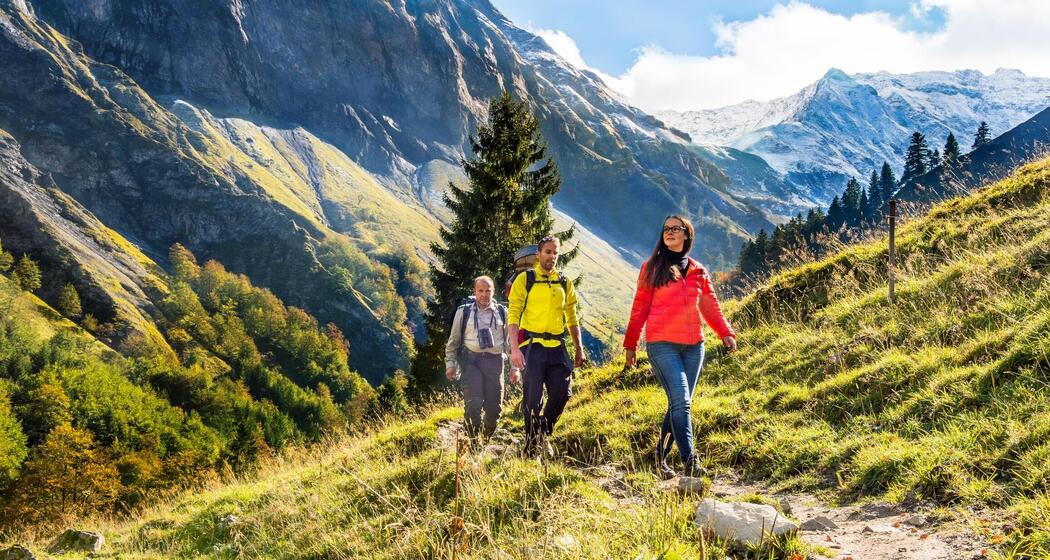 Etappe 3: Spitzmeilenhütte – Weisstannen, 73.03 Sardona-Welterbe-Weg