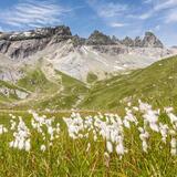 Etappe 4: Weisstannen – Sardonahütte, 73.04 Sardona-Welterbe-Weg