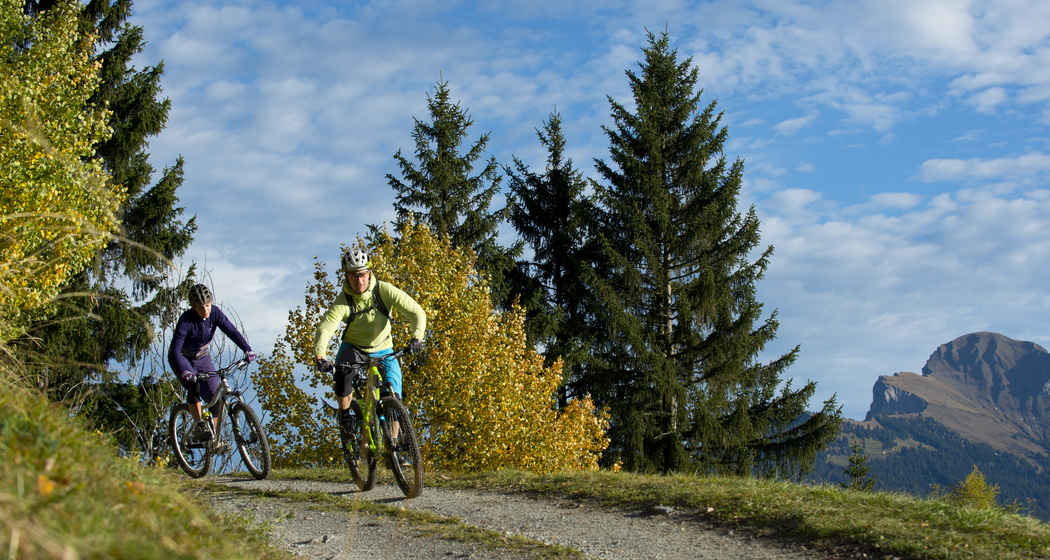 615 Biketicket to ride blau