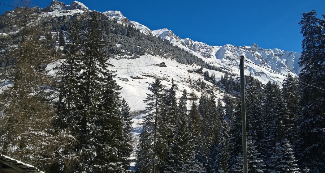 Winterwanderweg Rongg -Gross Cheer