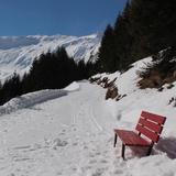 Rest bench along the route