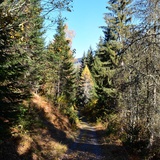 Unterwegs auf dem Spazierweg