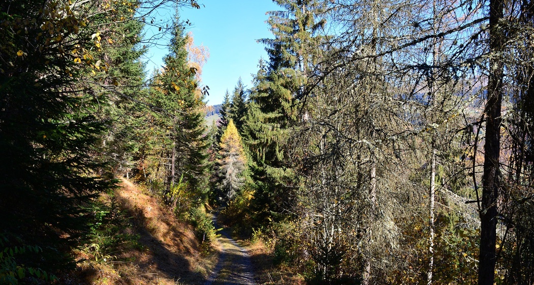 Unterwegs auf dem Spazierweg