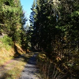 Unterwegs auf dem Spazierweg