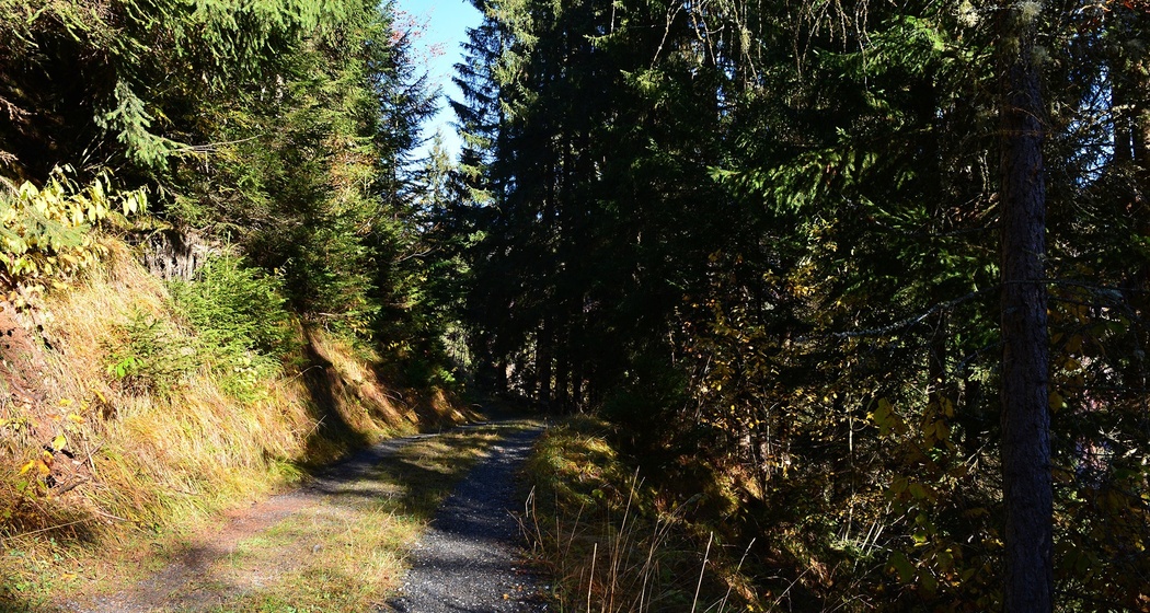 Unterwegs auf dem Spazierweg
