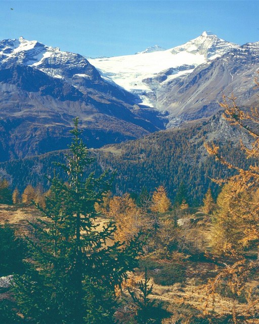 Aura Freida mit schönem Bergparnorama auf Palü Gletscher