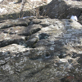 Alla scoperta dei massi cuppellari (oua_22620031_image)