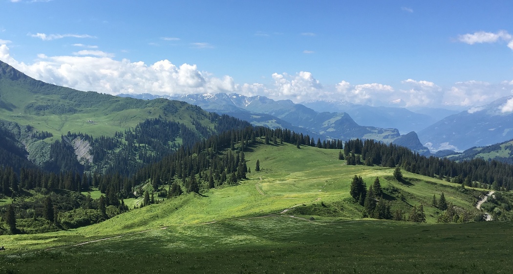 Prättigauer Höhenweg: Etappe 2, Schesaplanahütte – Carschinahütte (oua_22635244_image)