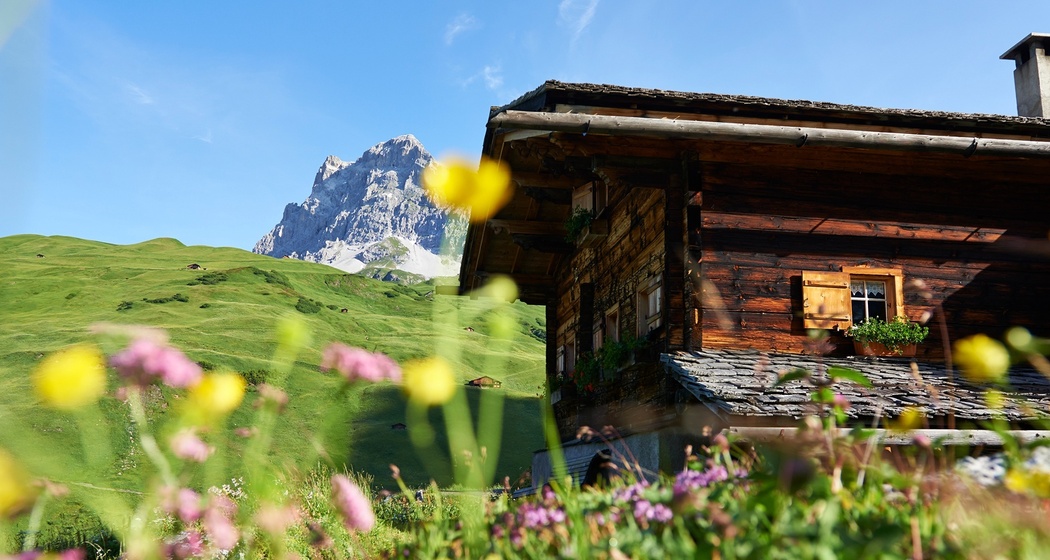 Prättigauer Höhenweg: Etappe 3, Carschinahütte - St. Antönien (oua_22635292_image)