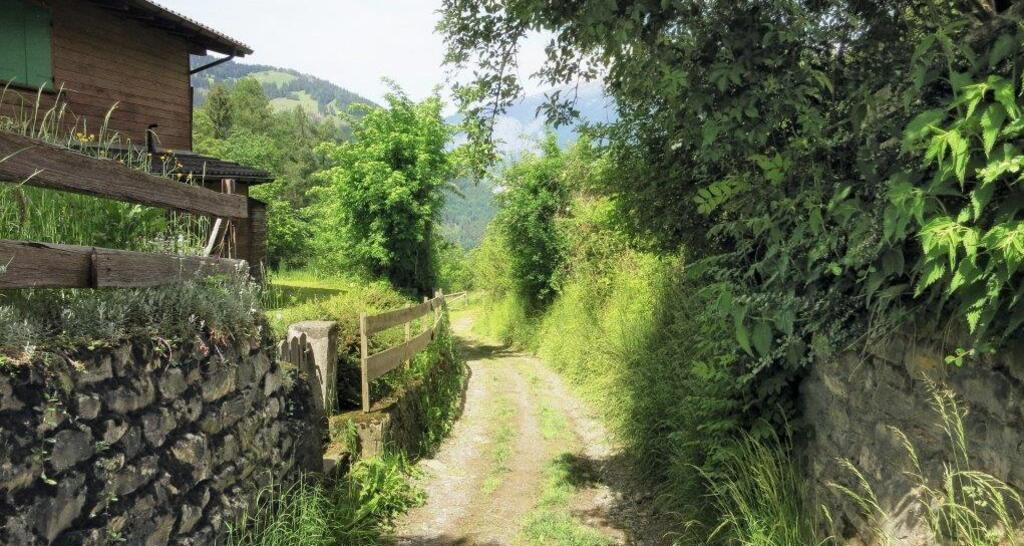 Wanderweg nach Chur
