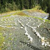 Percorso di apprendimento della stazione protection.forest.human