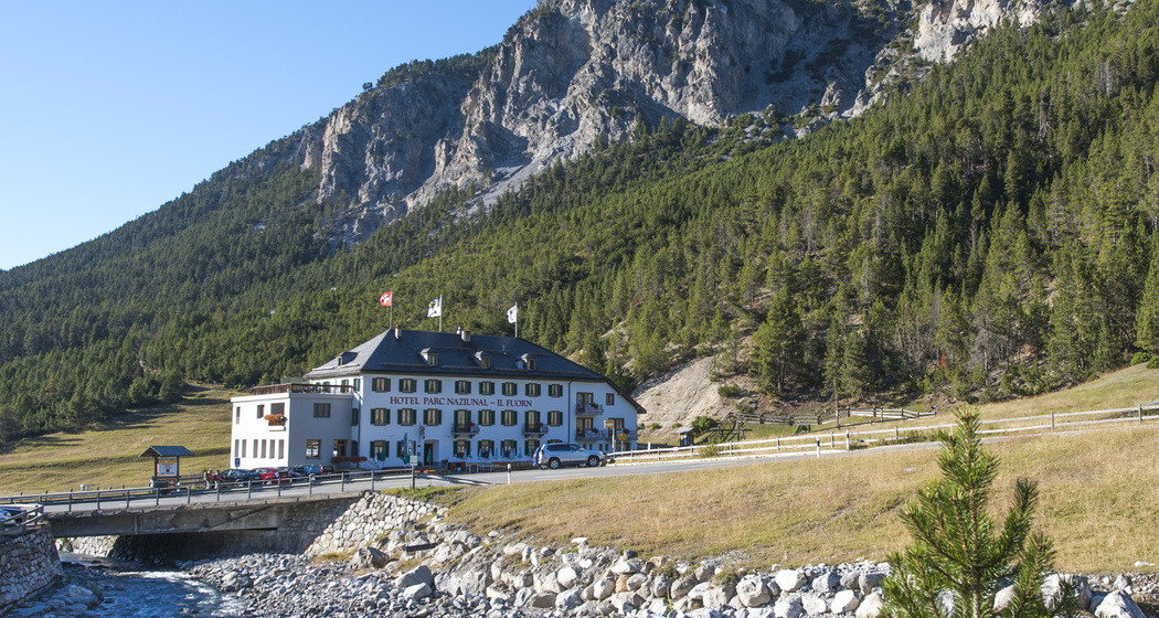 Fuorntal: Entlang dem wilden Bergbach (oua_22646936_image)