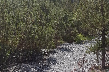 Die Alteinwasserfälle aus der Ferne