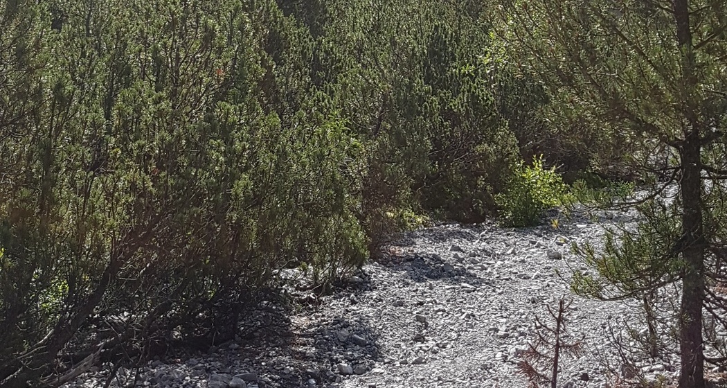 Die Alteinwasserfälle aus der Ferne