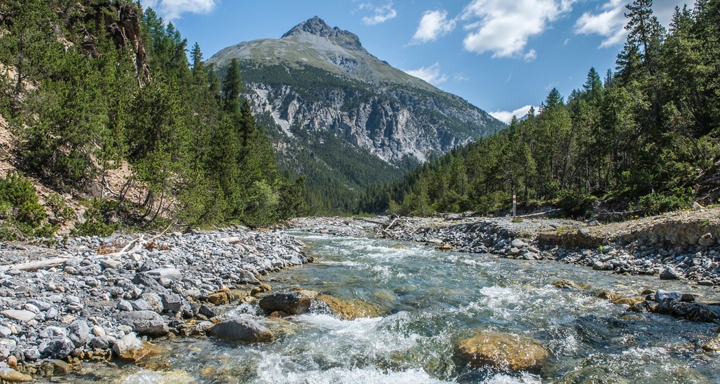 Landschaftlich reizvolle Rundwanderung auf der Nationalpark Wanderroute 15 (Munt la Schera) (oua_22647036_image)