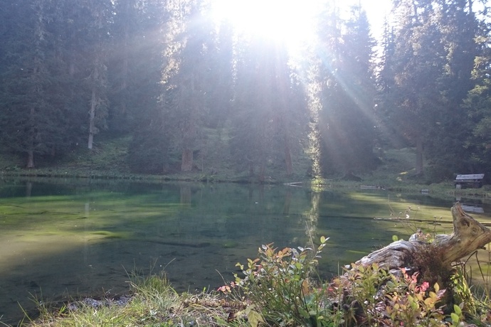 Das Grüenseeli in der Abendsonne