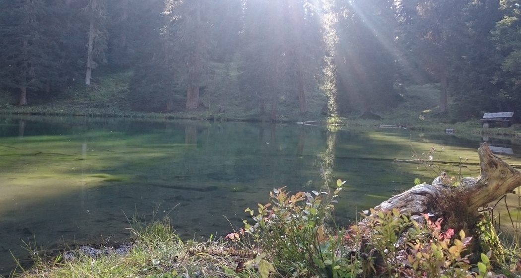 Das Grüenseeli in der Abendsonne