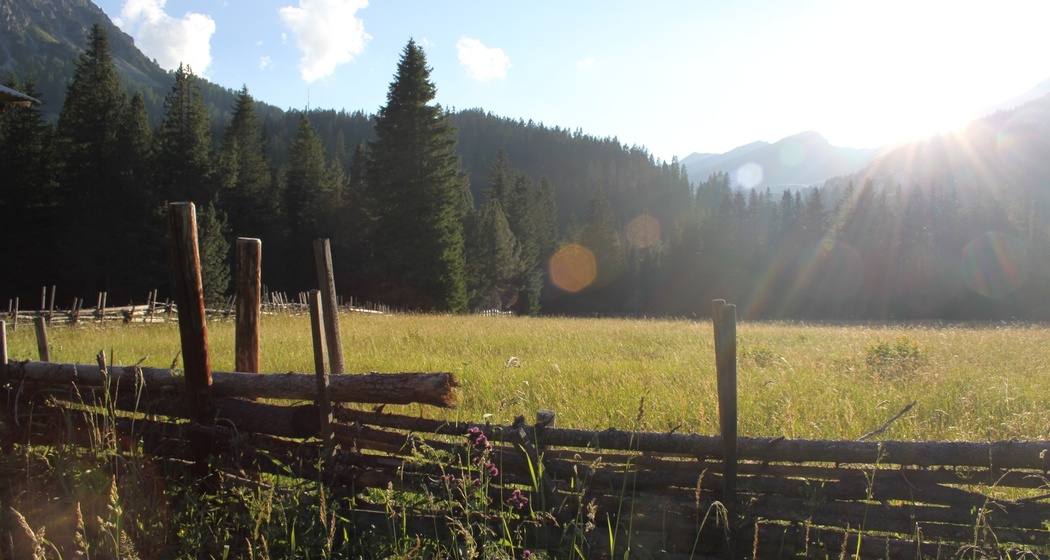 Herrlicher Sommerabend in der Isel
