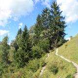 Etappe 13: Wanderweg ob Filisur Richtung Schönboden