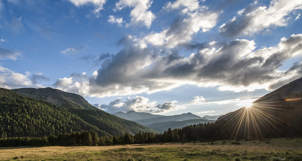 Margunet (Naturlehrpfad im Schweizerischen Nationalpark) (oua_22668595_image)