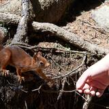 Kurztrail Maran (Helsana Trail)