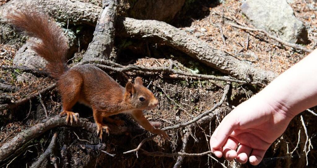 Kurztrail Maran (Helsana Trail)