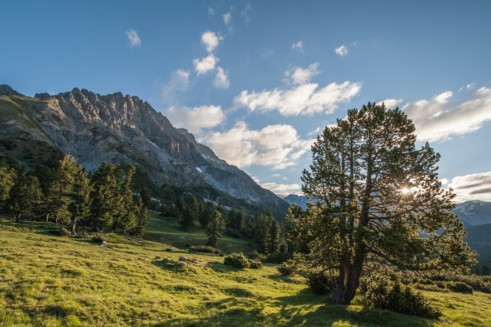 Parc national : Val Mingèr – Sur il Foss – Fuorcla Val dal Botsch – Route du col de l'Ofen (oua_22674607_image)
