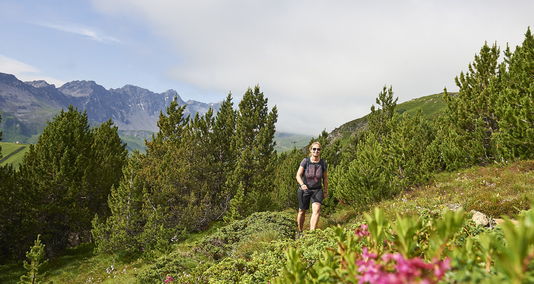 Wanderwege führen zum Hauptichopf