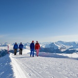 Wanderweg Weisshorn - Sattelhütte