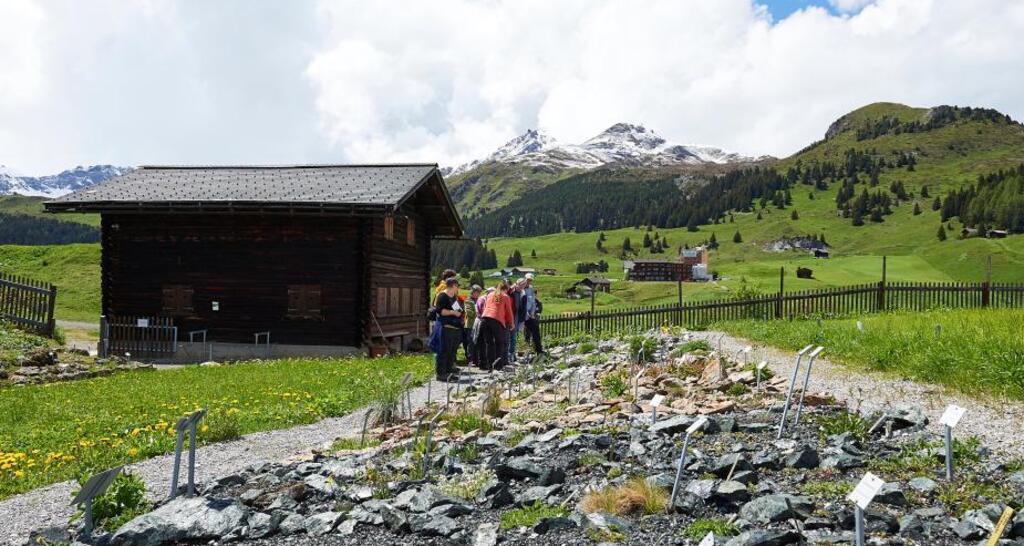 Der Alpengarten Maran