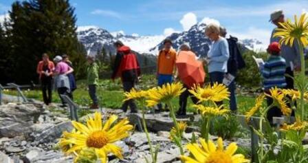 Der Alpengarten Maran