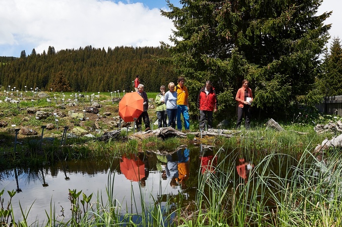 Der Alpengarten Maran