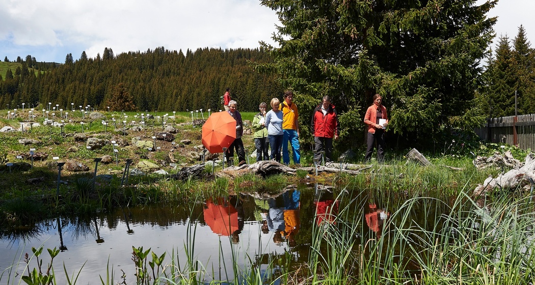 Der Alpengarten Maran
