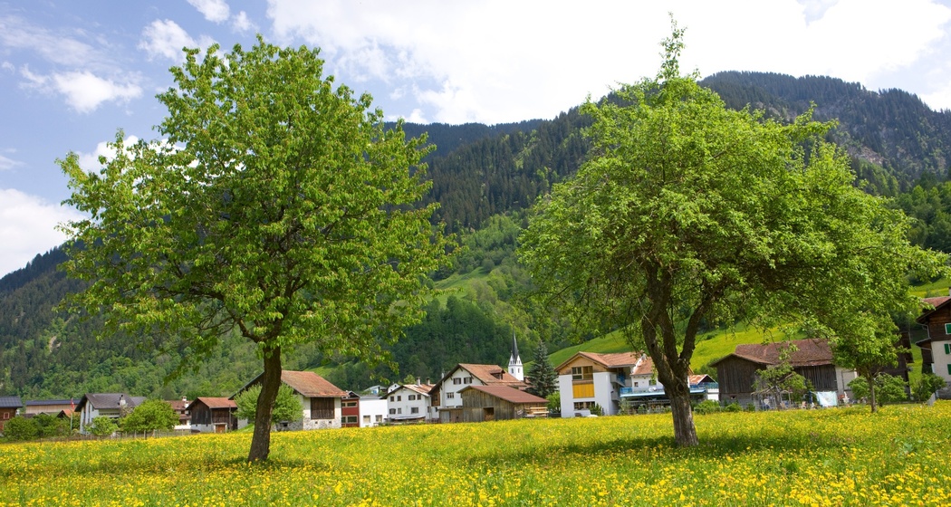 Frühling in Surrein
