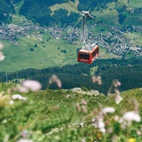 Hinauf mit der Gotschnabahn