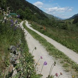 208 Val Russein (oua_22960049_image)