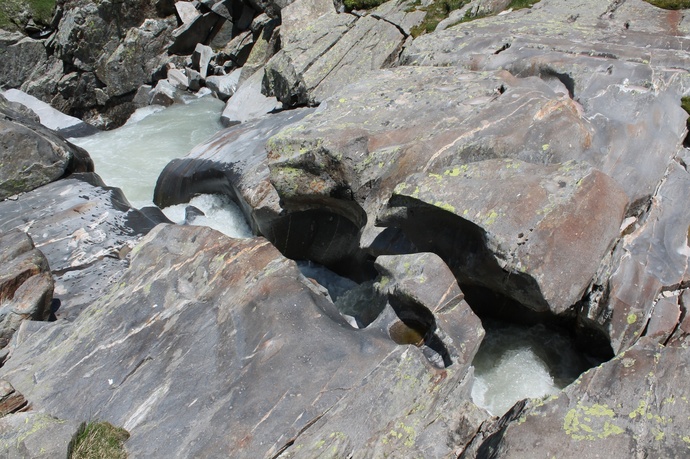 Piogn Crap (oua_23013964_image)