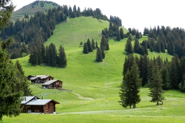 Grillplatz / Feuerstelle Tratza Pany (oua_23020488_image)