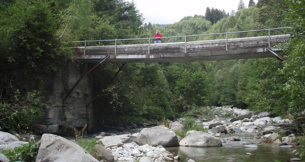 Geröll aus dem Tujetsch im Flussbett
