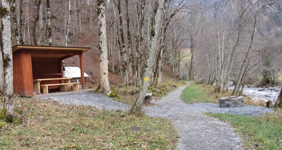 Feuerstelle Erlenbach