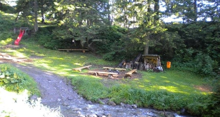 Feuerstelle Wasserwald