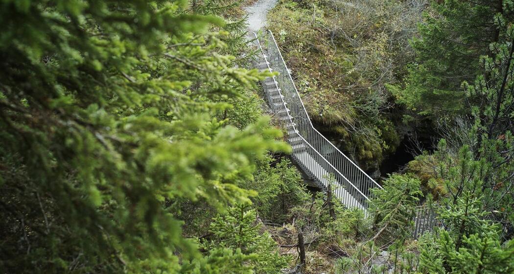 Pilzfelsen - Trutg dil Flem