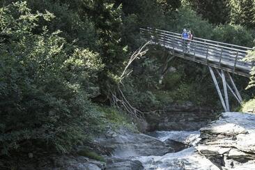 Verweilbrücke - Trutg dil Flem (oua_23055937_image)