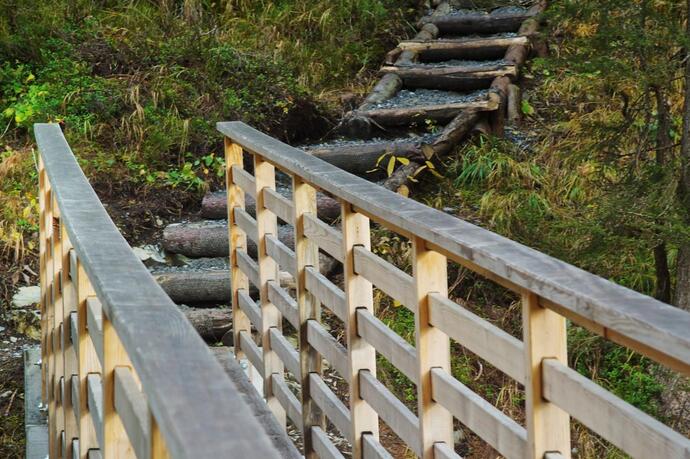 Muletg - Trutg dil Flem (oua_23055941_image)