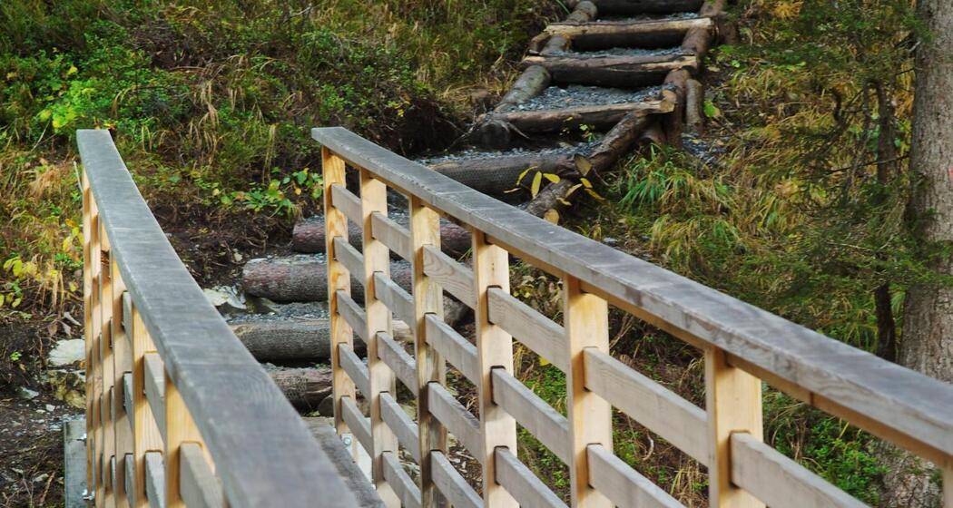 Muletg - Trutg dil Flem (oua_23055941_image)