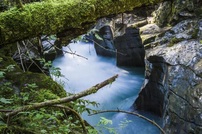 Felsbachschlucht