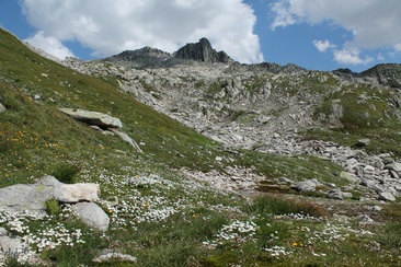 weglos mit Blick auf den Krüzlistock